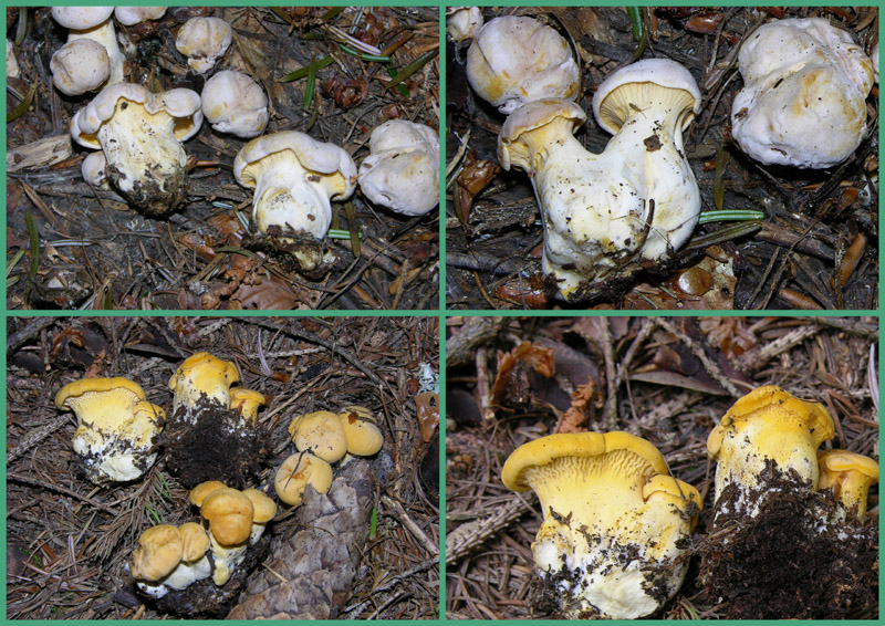 Ritrovamenti 03/07/2009